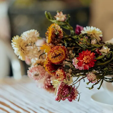 L'elisir Di Atena * Moscufo