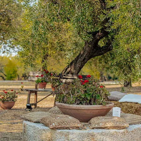 Farm stay L'elisir Di Atena Moscufo