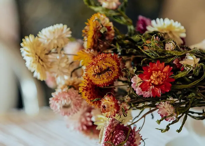 L'elisir Di Atena * Moscufo