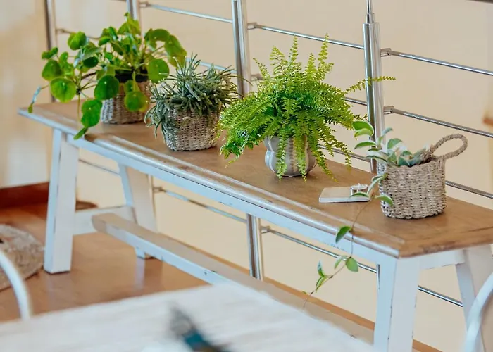 Alojamento de Turismo Rural L'elisir Di Atena *