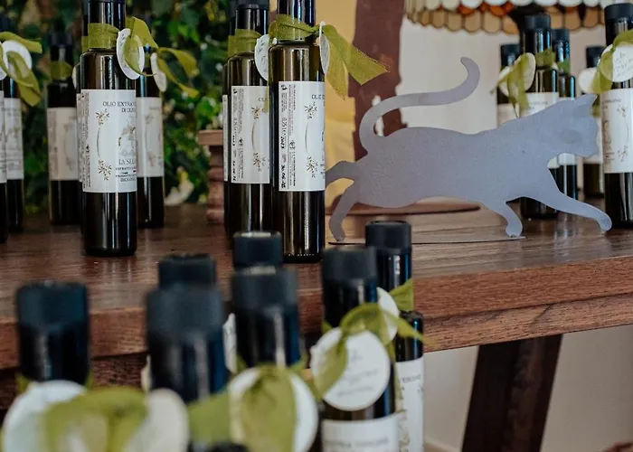 L'elisir Di Atena Moscufo