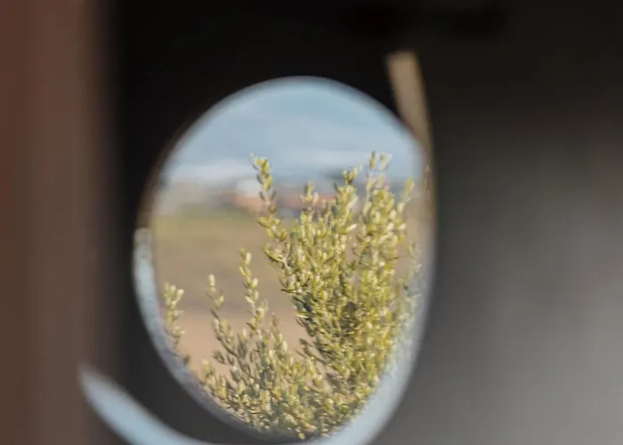 L'elisir Di Atena Agroturismo Moscufo